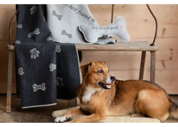 pet blanket "my best friend/bones allover" (GRS) - Image 3
