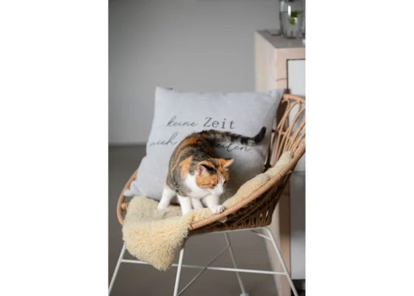 SILVRETTA cushion cover  (= no time to rush) (GRS) - Image 4