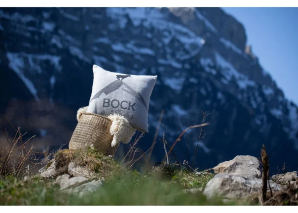 SILVRETTA cushion cover "ibex" (GRS) - Image 3