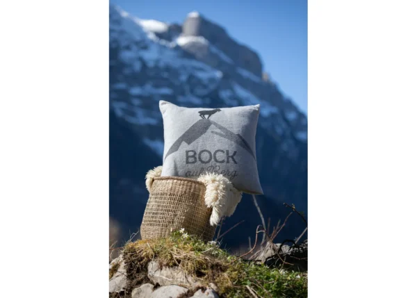 SILVRETTA cushion cover "ibex" (GRS) - Image 4